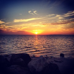 David Vasquez - Night Changes