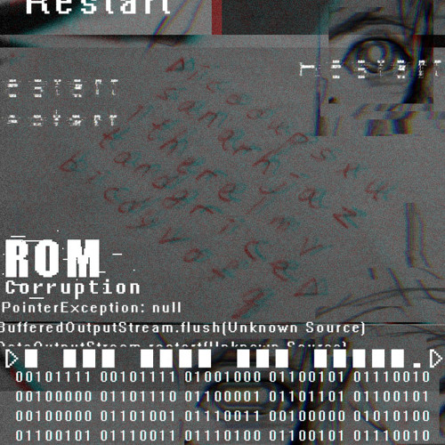 ROM Corruption