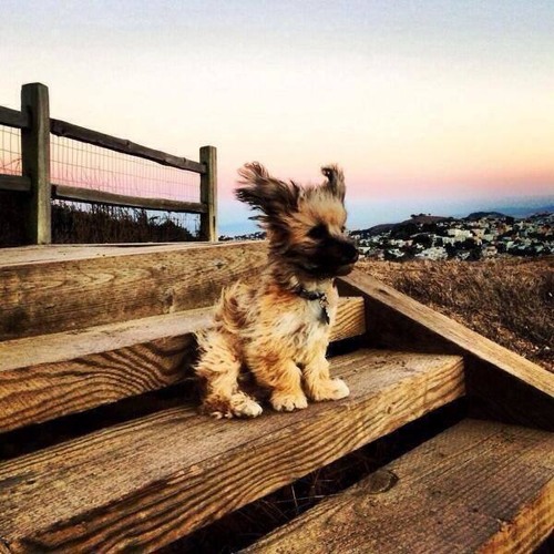 Waking Up