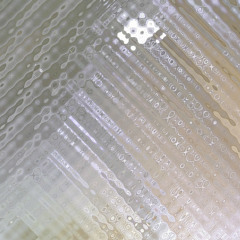 nugo nume [disquiet0161-netmixrelabel]