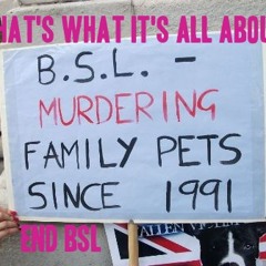 That's What It's All About (anti BSL Protest Song)