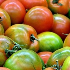 Green Tomatoes unreleased/unfinished Work