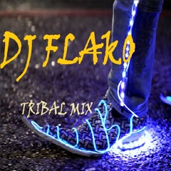 Tribal Mix - DJ FLAKO