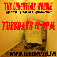 The Lunchtime Wobble with Timmy Seashoe on Codesouth.