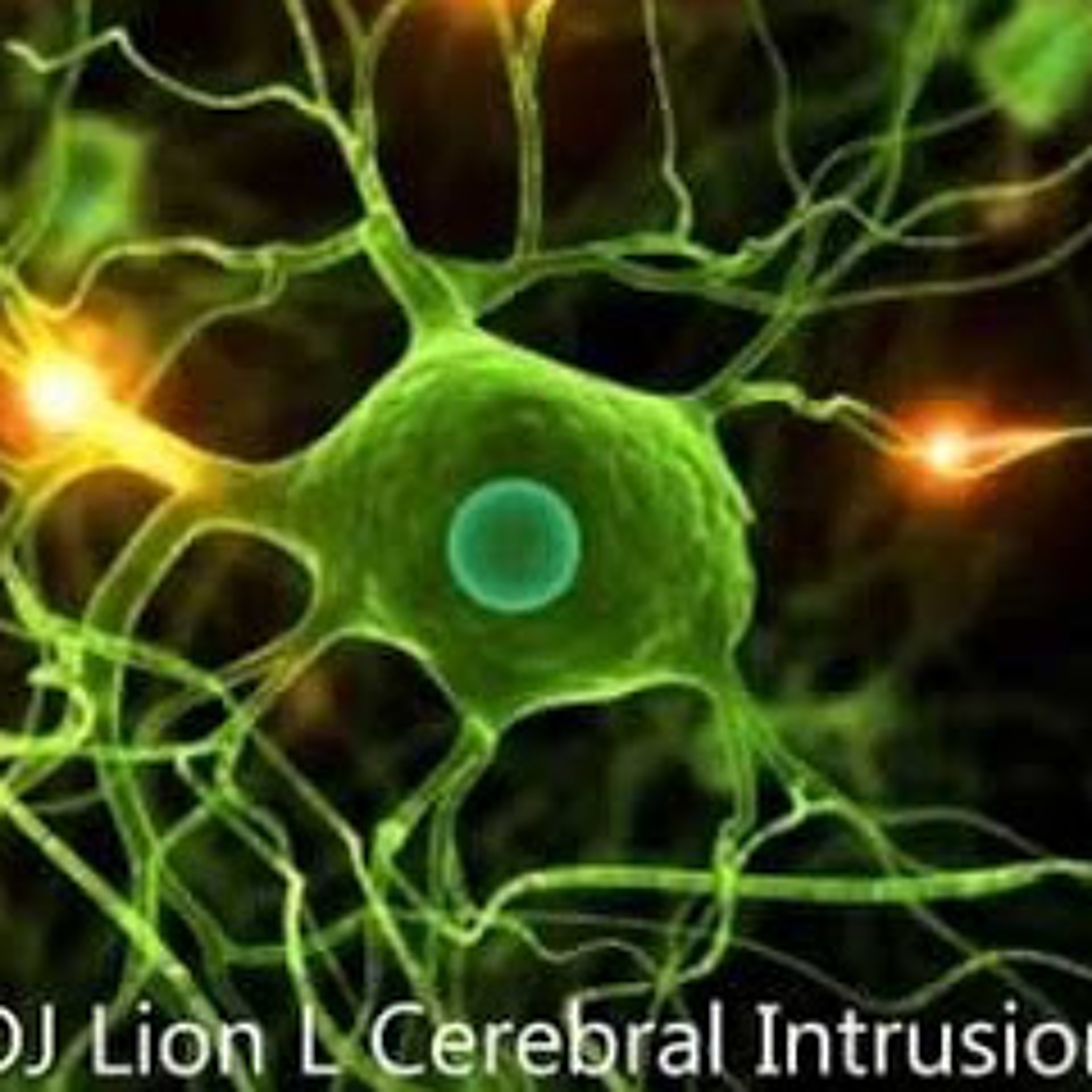 DJ Lion L Cerebral Intrusion Mars radio DNB 09 2013 No synch turntables... episode artwork