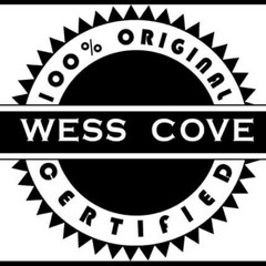 Deep cover instrumental remake at HUSTLECORPMUSIC PRODUCED BY SICC THE BORN