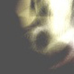 Killer Spasms - disquiet0161-netmixrelabel