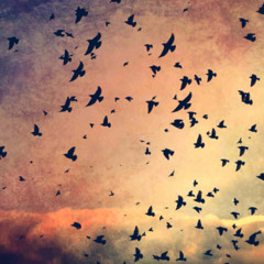 Shake It Out - Epic Version