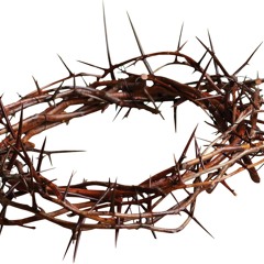Crown of Thorns