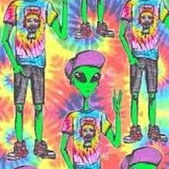 Trippy Hippy