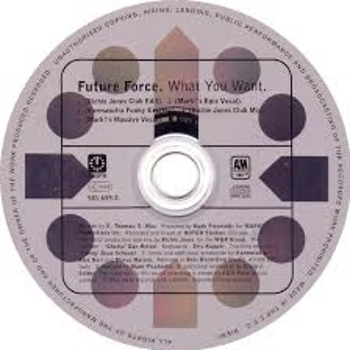 Future Force - What You Want (Fade DMC Mix)