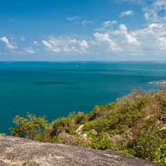 โฆษณา ยาแก้ไอน้ำดำ ตราเสือดาว