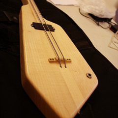 Self Built 2 String Fretless Bass