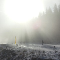 V:15:January