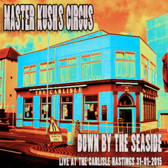 Down By The Seaside :: Live at The Carlisle, Hastings 31/01/2015