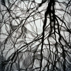 Manoj - Distorted Melodies