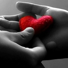 مين السبب/ فهد القصير