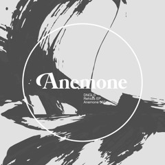 DNGLS - Streillete - Anemone Recordings - Itunes Bonus