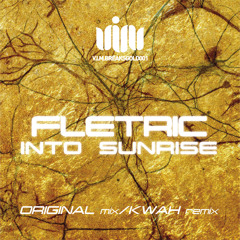 Fletric - Into Sunrise (Original Mix) • VIM Records