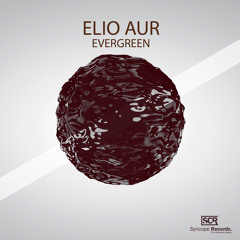 Elio Aur - Evergrenn (Original Mix) 'Preview' (out on March 1st)