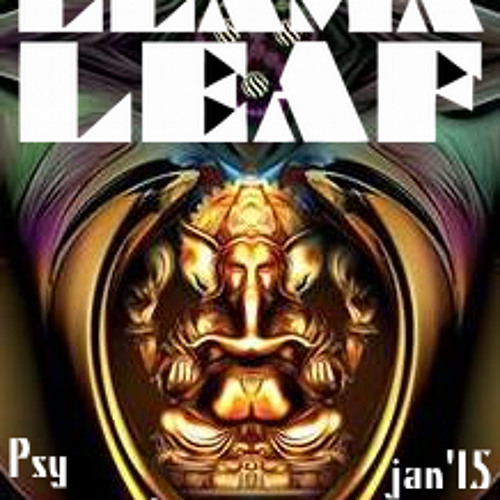 LlamaLeaf  Jan 2015 Psy Carnival Promo Mix