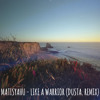 Matisyahu -Live Like A Warrior (Dusta. Remix)