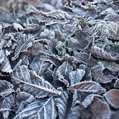 The First Draft of the Title Song of an Imaginary TV-Series