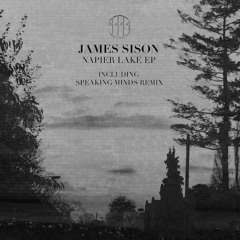 James Sison - Napier Lake (Speaking Minds Remix)