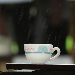 אהבתי אותה פעם אוהב אותה עכשיו