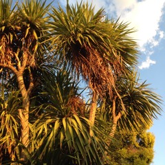 SPRING 2014