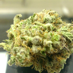 Smoke Weed (MBpro, Produced by Rhythmaddicted ft. Crystal G)