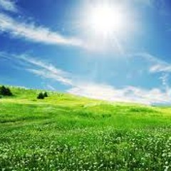 Dreamwave - Sunshine