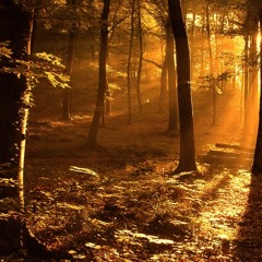 32. L'Aurore (1 Feb 2015)