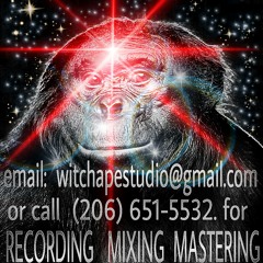 Recorded and/or mixed and/or mastered at Witch Ape Studio