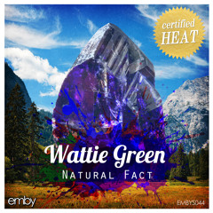 Wattie Green - Natural Fact (iPod Edit)