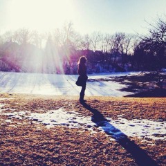 Cavalier- Cover Clip