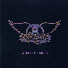 Aerosmith - What It Takes Live
