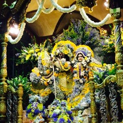 Nityananda Trayodasi 2015 at Radha Govinda Mandir