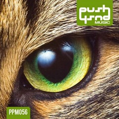 Ale Castro, Stephanos - Ansioso (Gruuve Remix) [PUSH PUSH MUSIC]