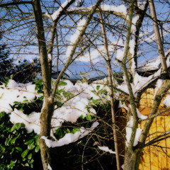 Warm-Up Set at Skin&Bones 3.12.2014