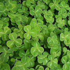 เพลงโฆษณา โรงเรียนสอนขับรถ ส.สะพานมอญ