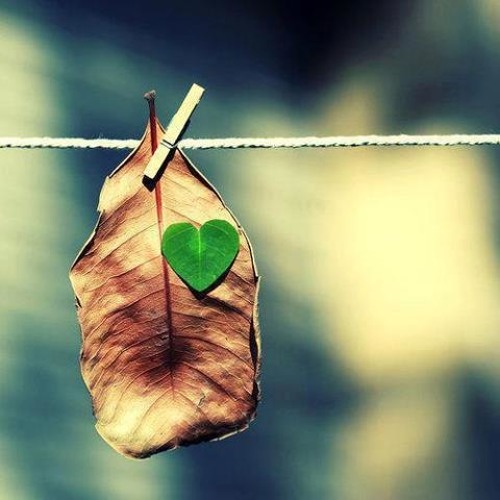 هذه الروح تشتاق اليك By mohammed ebrahim