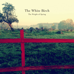 The White Birch - Lantern
