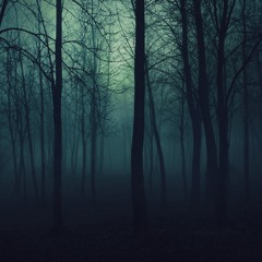 midnight in  forest(hypnose)