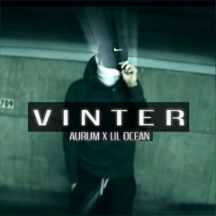 Vinter (Prod. Ehux)