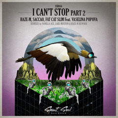 Saccao, Haze-M, Fat Cat Slim feat. Veselina Popova - I Can't Stop (Haze-M Rework)