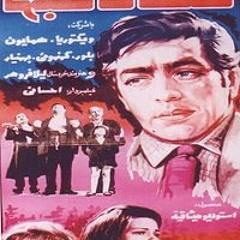 سلطان قلبها