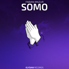 Fabian Mazur - SOMO