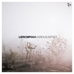 Philipp H. & Jonson - Yesterday (Dub Mix) | LikeBirdz Records