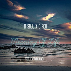 D Soul x C Rou- Meaning of Life [prod. by CAPTAINCRUNCH]